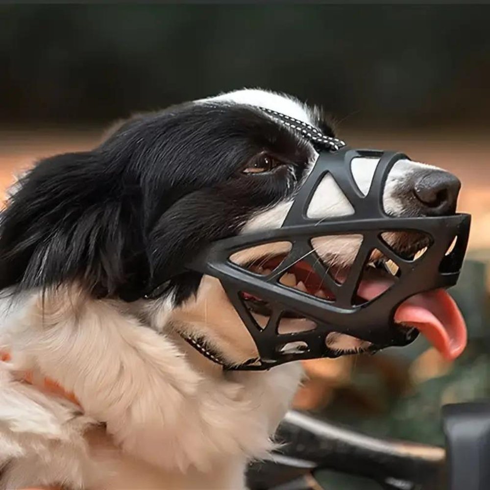 Gentle Dog Muzzle for Safe Everyday Situations