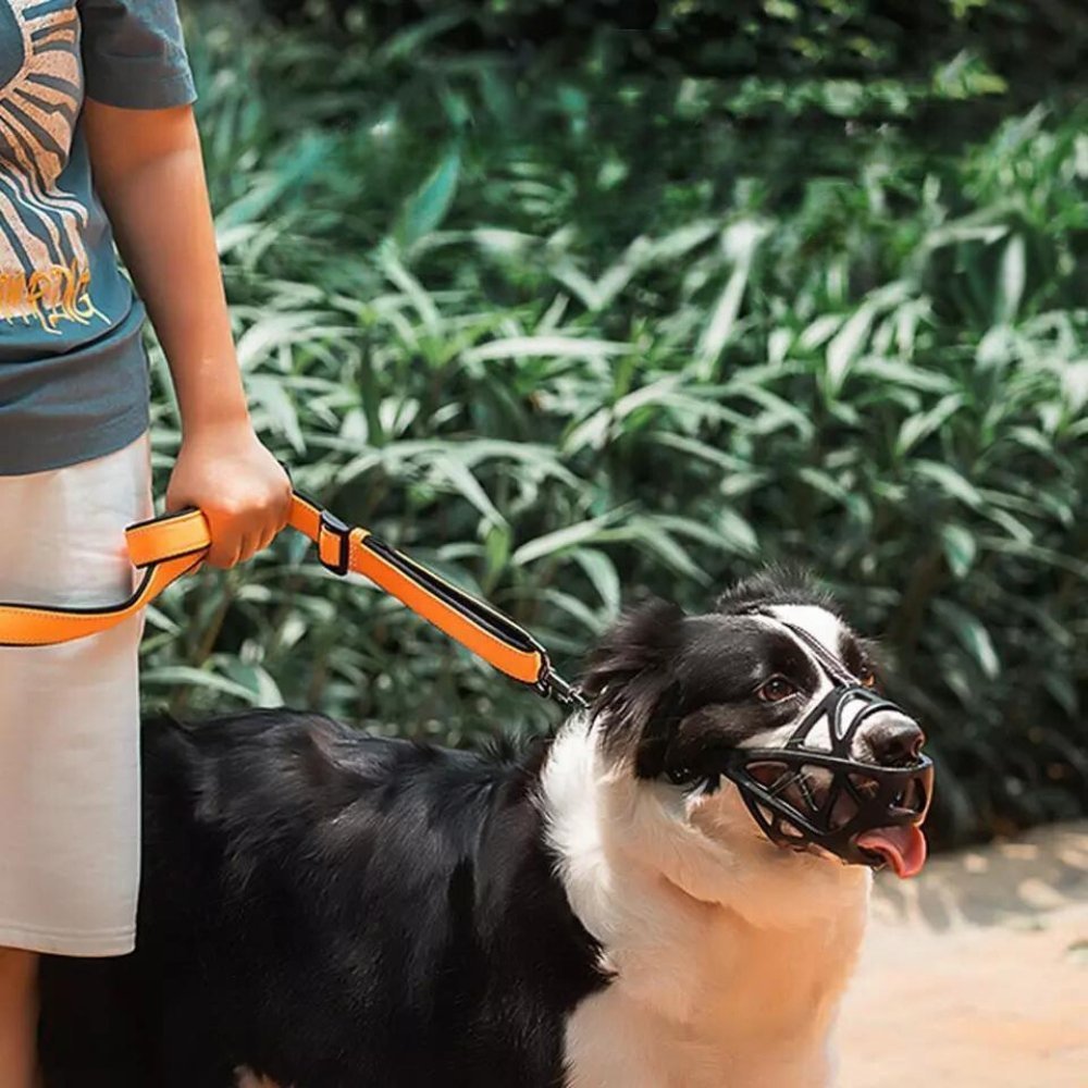 Gentle Dog Muzzle for Safe Everyday Situations