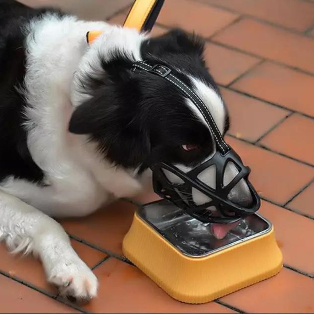 Gentle Dog Muzzle for Safe Everyday Situations