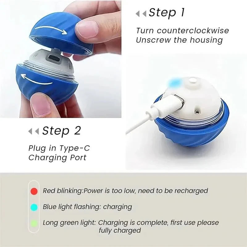Interactive Rechargeable Bouncing Dog Ball