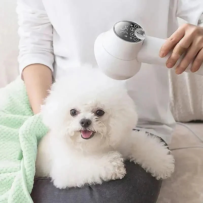 Gentle Dryer – Soft Drying and Brushing for a Relaxing Grooming Experience