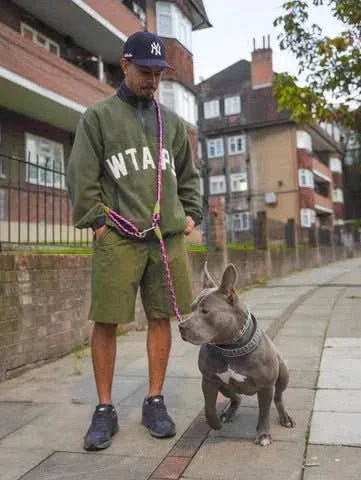 Hands-Free Leash for Jogging, Walking, and Unrestricted Movement
