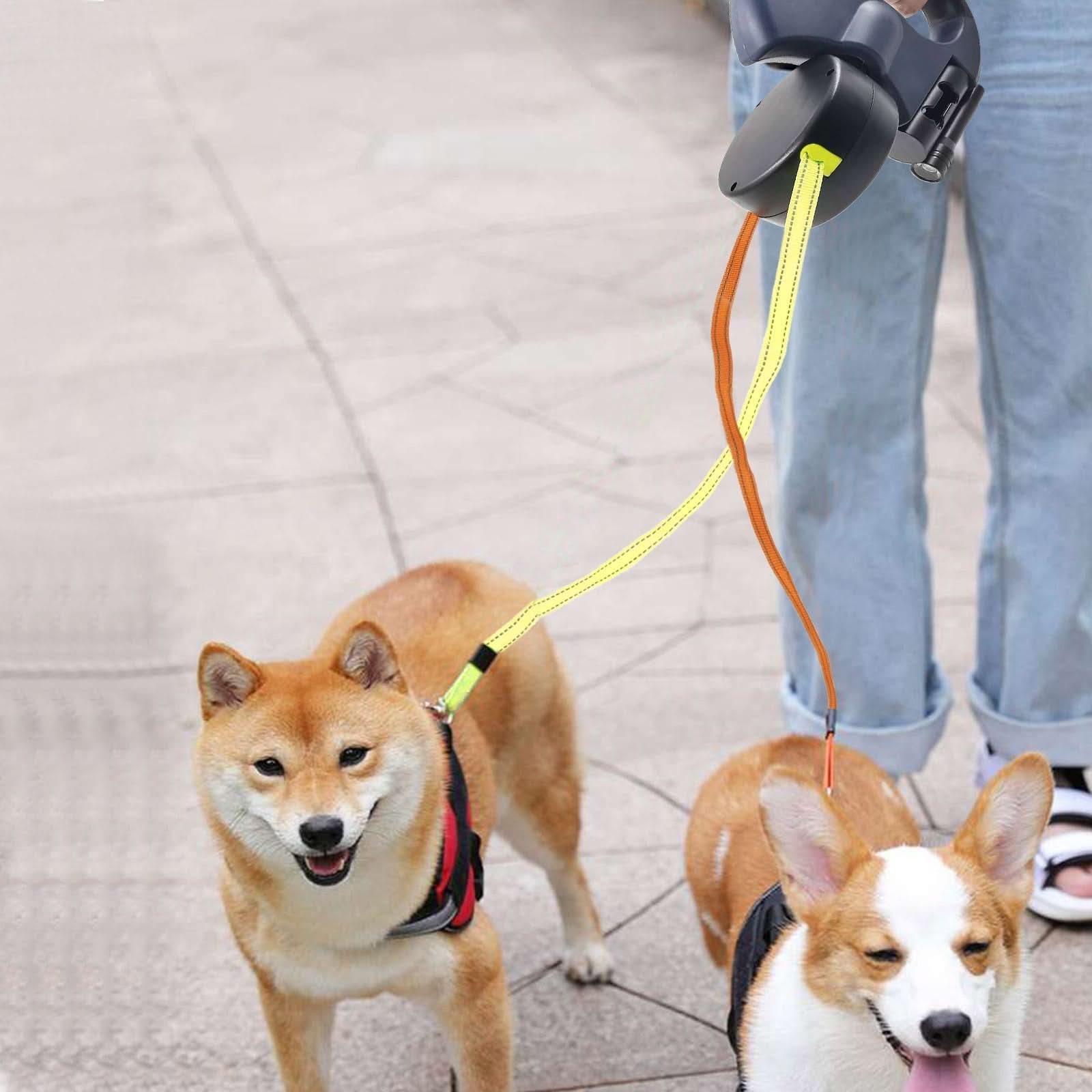 Retractable Leash for Two Dogs with Built-in Flashlight