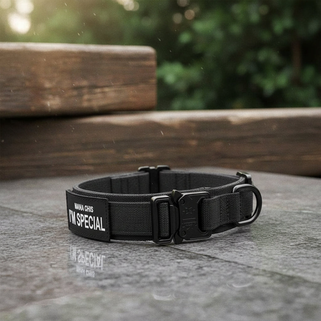 Durable Adjustable Dog Collar Set – Ideal for Training and Everyday Use