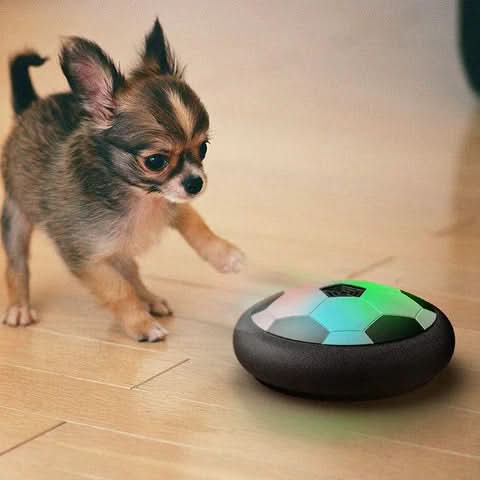 Interactive Play Ball for Dogs with Unpredictable Movements