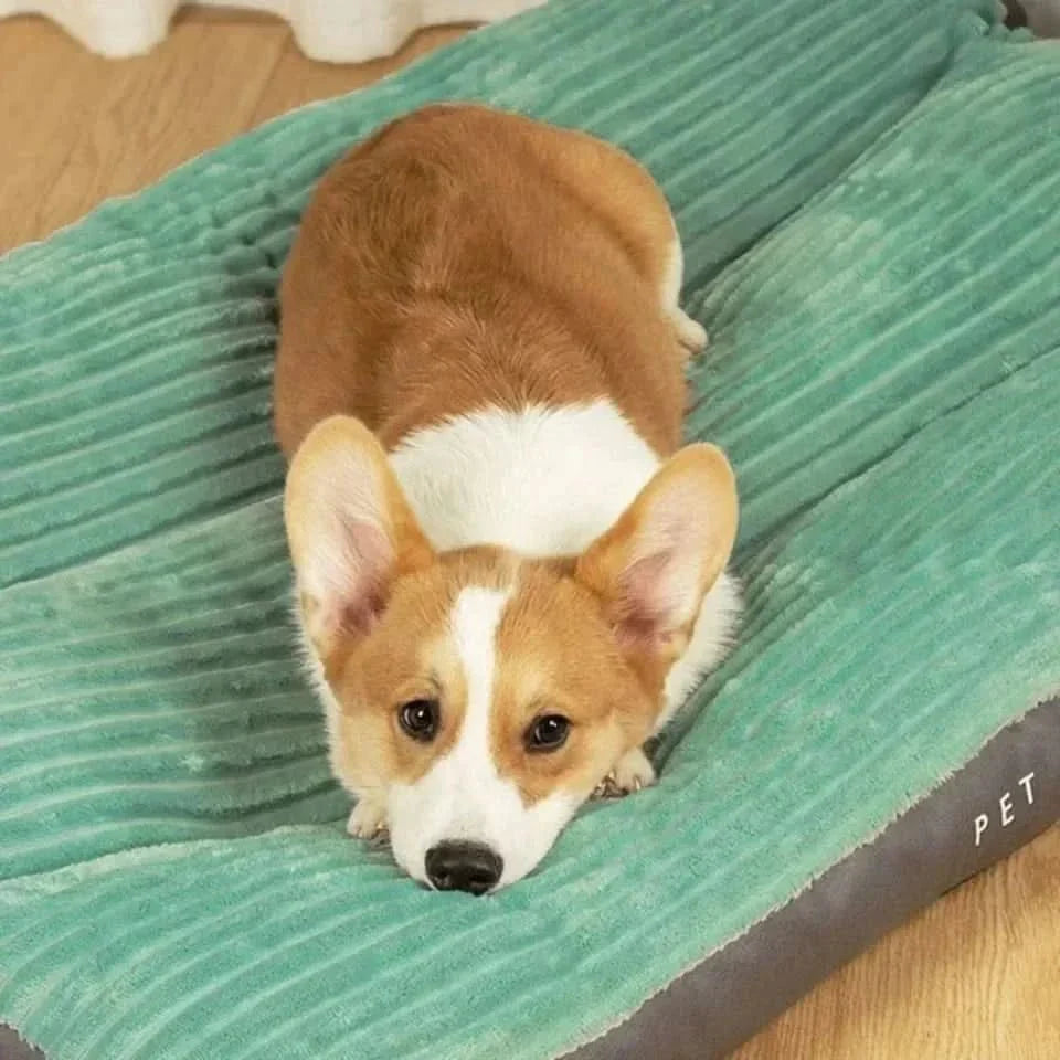 Cozy Comfort Bed for Dogs